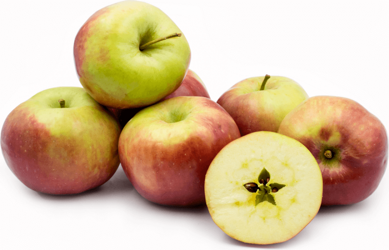20 Best Apples For Dehydrating. Learn How to Dehydrate Apples The Easy Way.