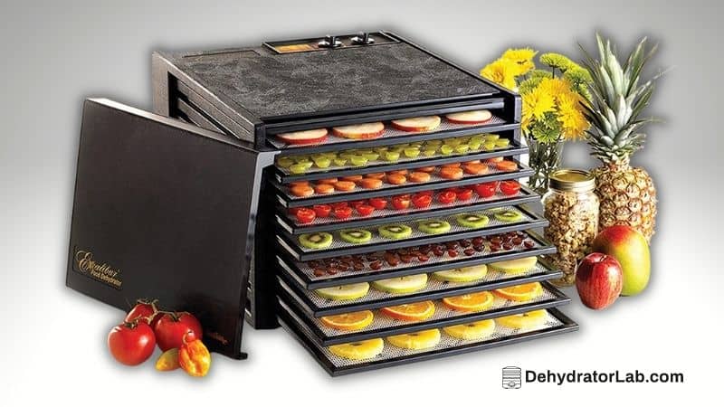 Best Excalibur Dehydrator – Top 6 Models Reviewed & Compared