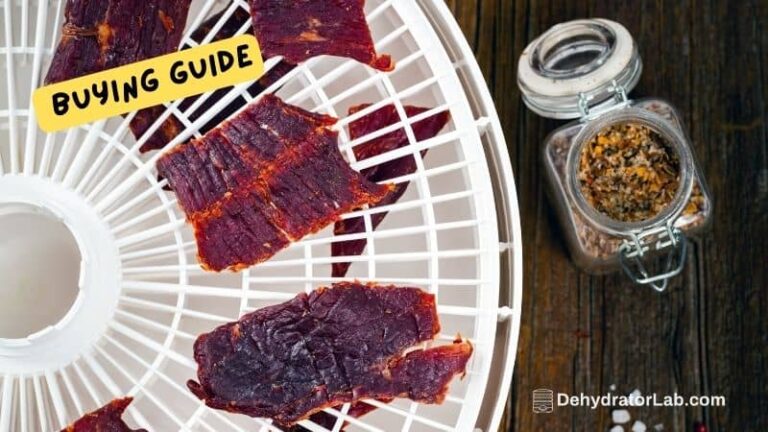 Best Dehydrator for Jerky Top Models Revealed