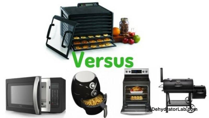 What’s the Difference Between a Dehydrator vs Oven, Microwave, Air Fryer and Smoker. What to Choose?