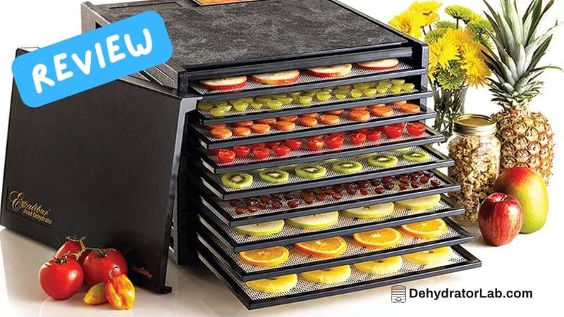 Excalibur 3900B Review – A Basic Dehydrator With Enormous Drying Surface