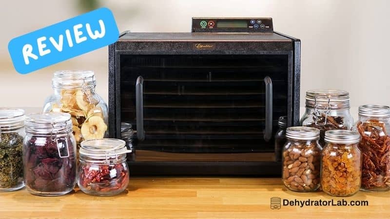 Excalibur 3948CDB Review – Premium 9-Tray Digital Food Dehydrator