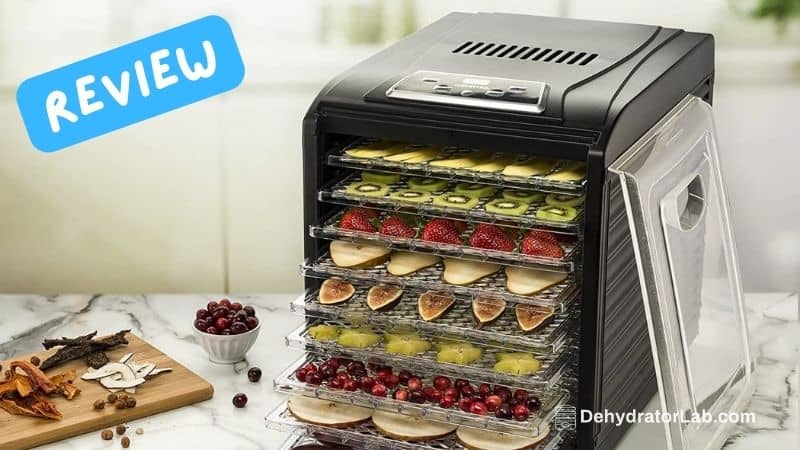 Gourmia GFD1950 Dehydrator Review