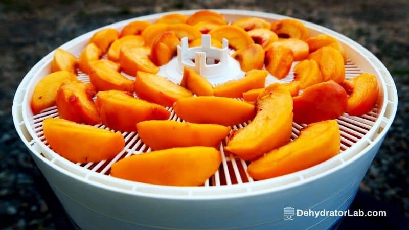 How To Use A Food Dehydrator – 10 Useful Tips For Beginners And Advanced Users