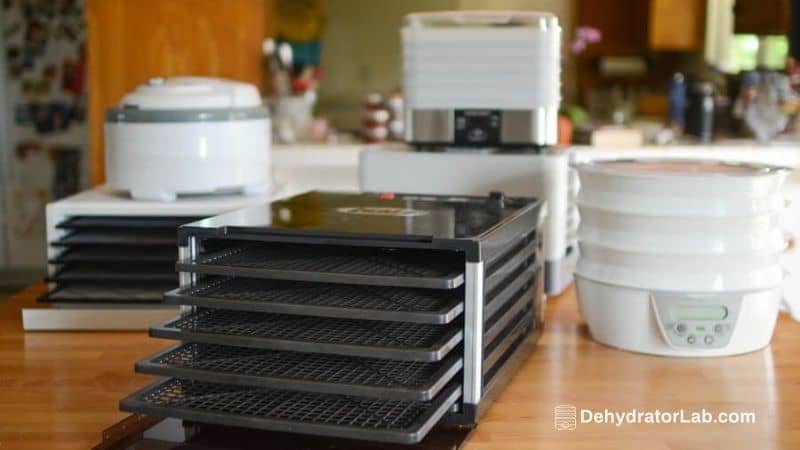 How to Clean a Dehydrator (Base & Trays)