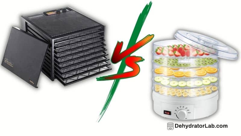 Stainless Steel vs. Plastic Dehydrator. Which Is The Best?