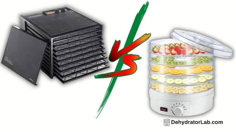 Stainless Steel vs. Plastic Dehydrator