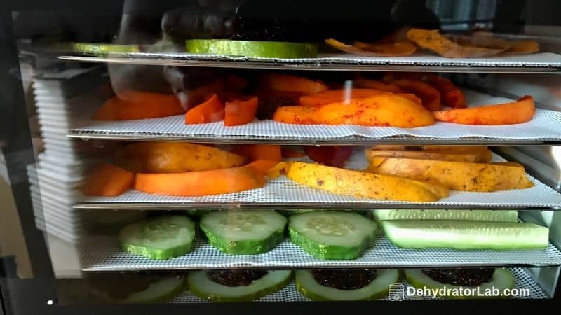 Ways You Can Use Your Food Dehydrator