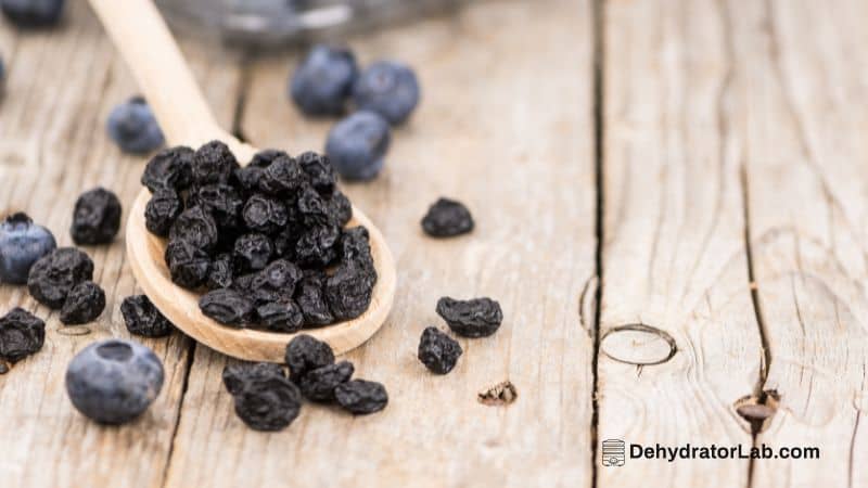 Dried Blueberries in a Wooden Spoon