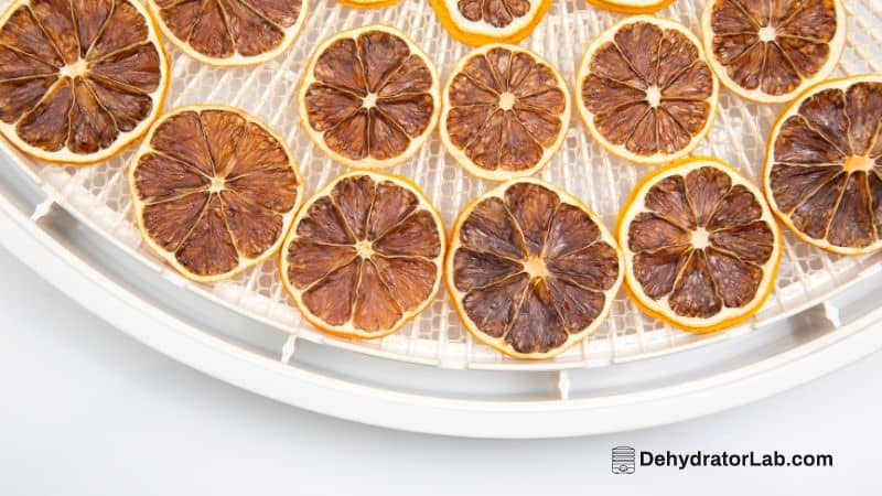 Dried Citrus Fruits On Dehydrator's Tray