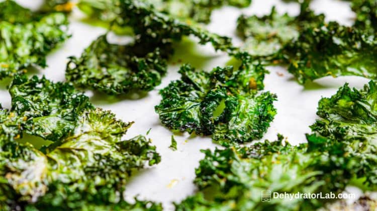 Dried Kale Chips