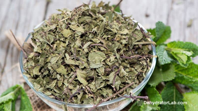 How to Dehydrate Mint Using a Food Dehydrator