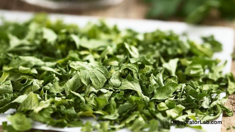 Dried Parsley on Paper Towel