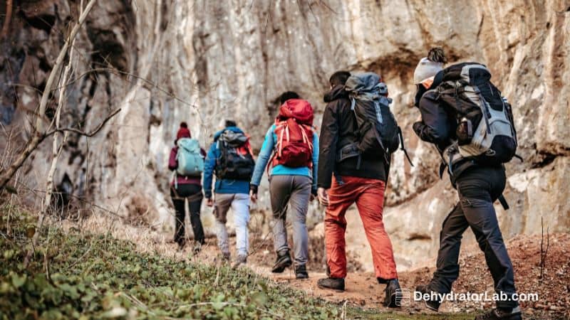 Group of Hikers