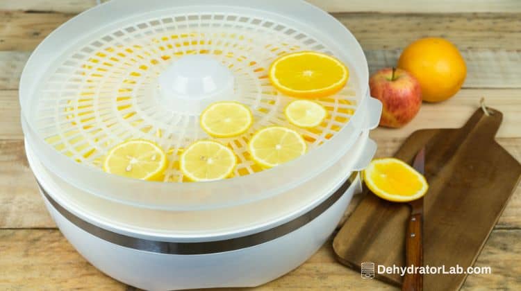 Lemon Slices in Food Dehydrator