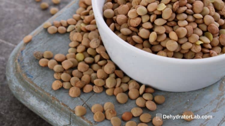 Lentils in White Bowl