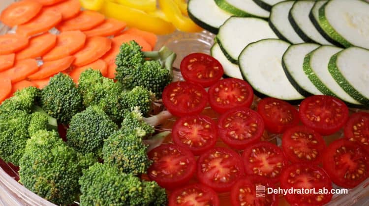 Sliced Veggies in Food Dehydrator