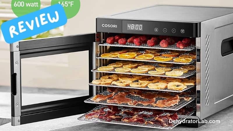 COSORI Food Dehydrator for Jerky Review (with 6 Stainless Steel Trays)