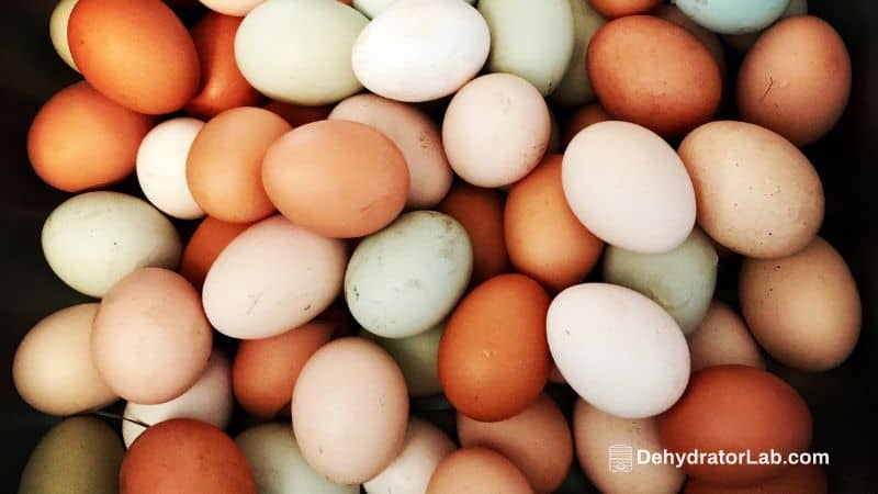 Natural Chicken Eggs