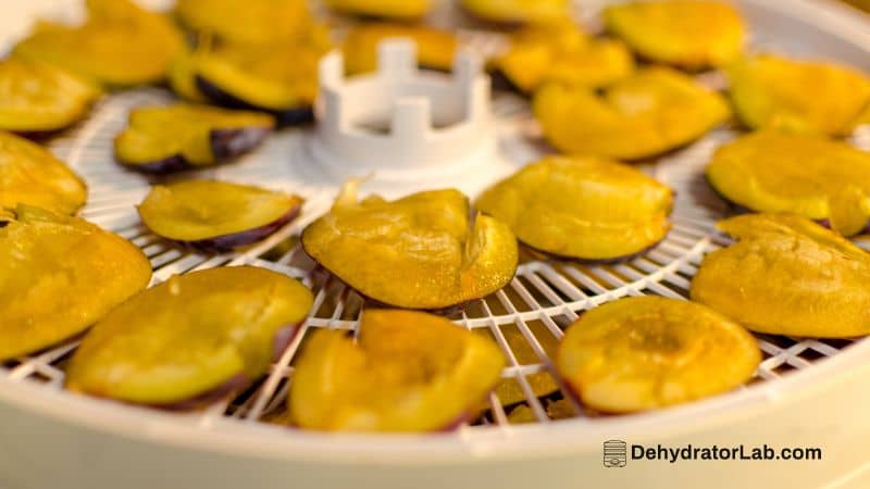 Can You Dehydrate Plums? How to Dehydrate Plums at Home!