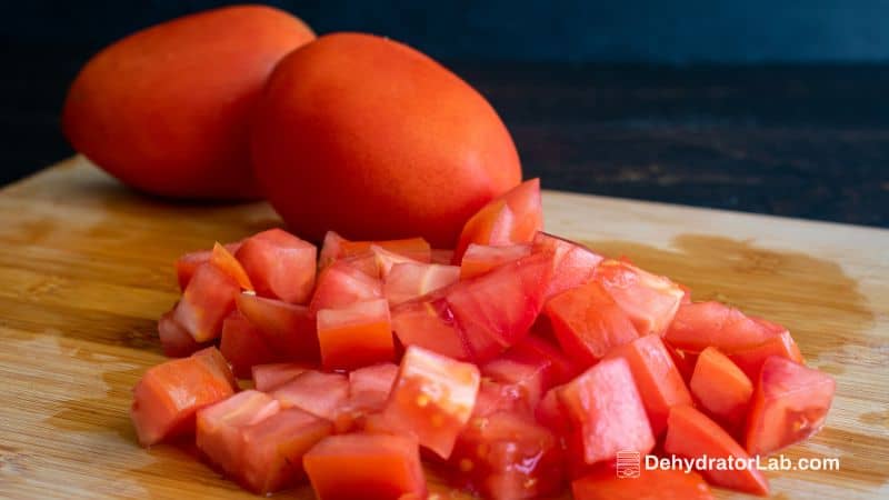 Dehydrating Canned Diced Tomatoes the Easy Way!
