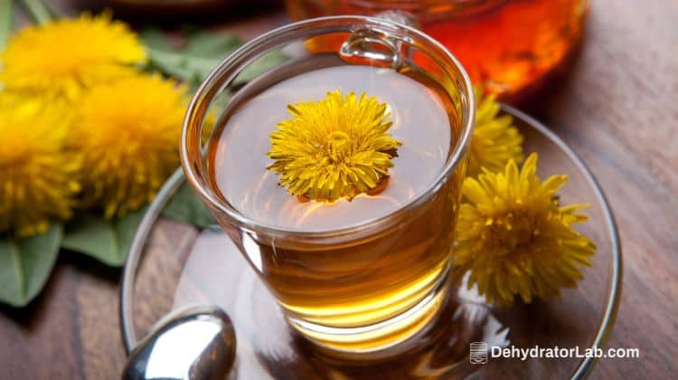 Dandelion Tea With Yellow Blossom on Wooden Table