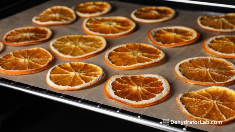 How to Prevent Food From Sticking to Dehydrator Trays