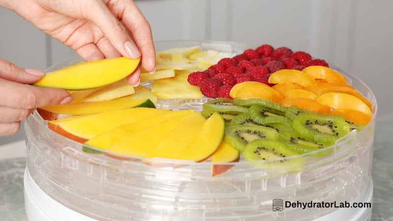 mango on food dehydrator trays