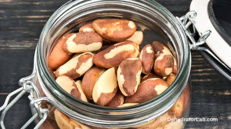 Nuts in Jar