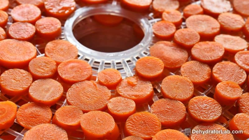 How to Dehydrate Carrots in a Food Dehydrator