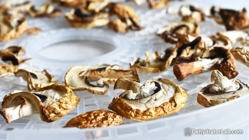 Why Dehydrate Mushrooms at All?