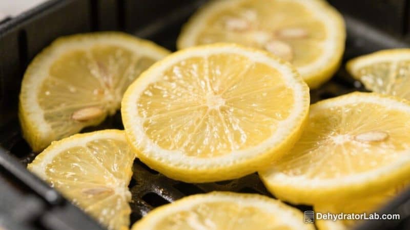 Air Fryer Lemon Slices