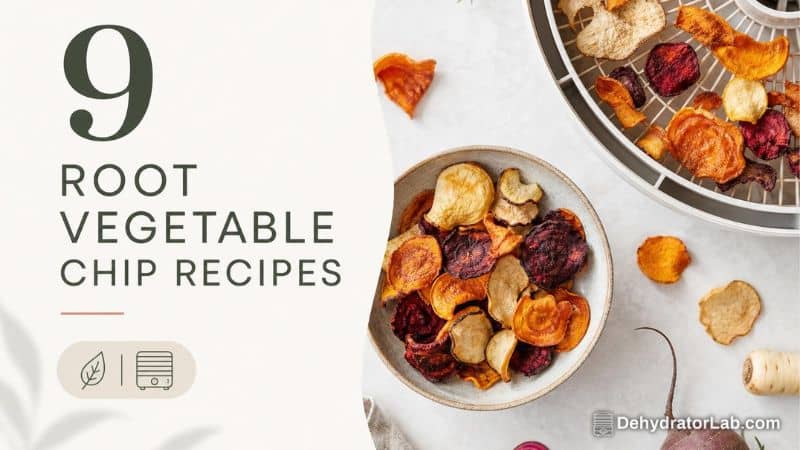 9 Root Vegetable Chip Recipes to Make in Your Dehydrator This Fall: Crispy Autumn Snacking